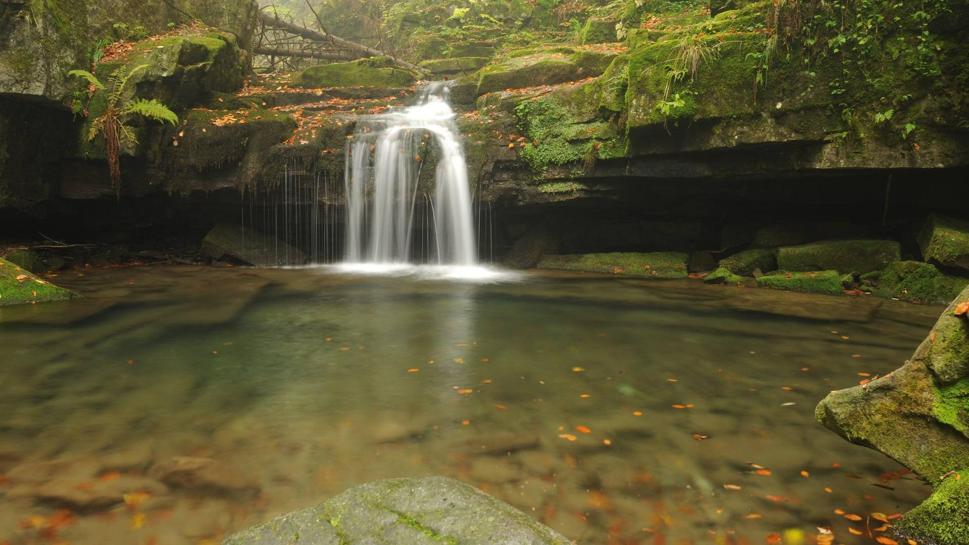 Satina Ti na výlet - javorovycz