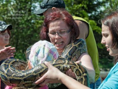Jak chata na Javorovém oslavila 120 let