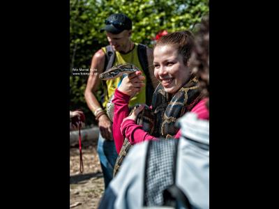 Jak chata na Javorovém oslavila 120 let