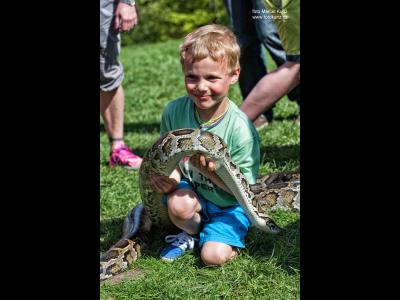 jak-chata-na-javorovem-oslavila-120-let