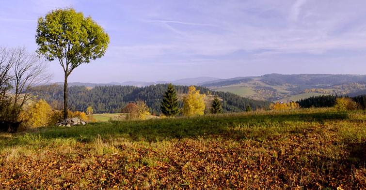 Hrčava - Tipy na výlet v okolí Javorového - javorovy.cz