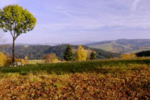 Hrčava - Tipy na výlet v okolí Javorového - javorovy.cz