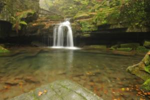 Satina Ti na výlet - javorovycz